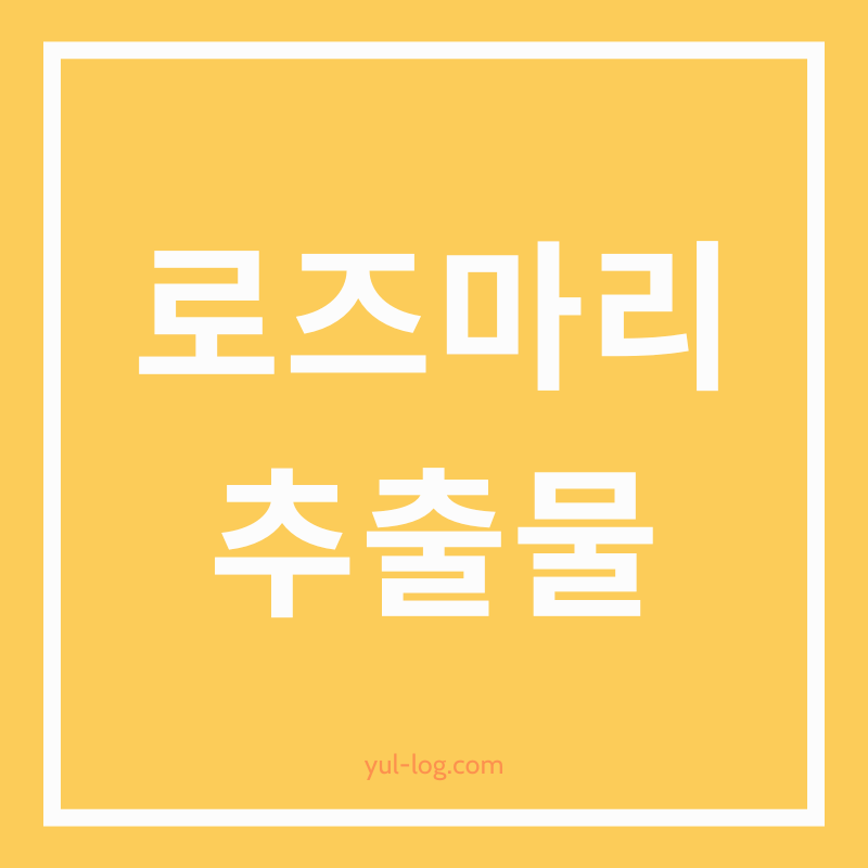 로즈마리 추출물 효과와 활용법 총정리