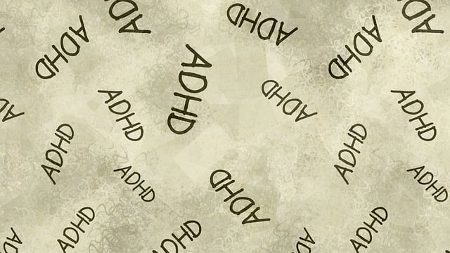adhd약물치료