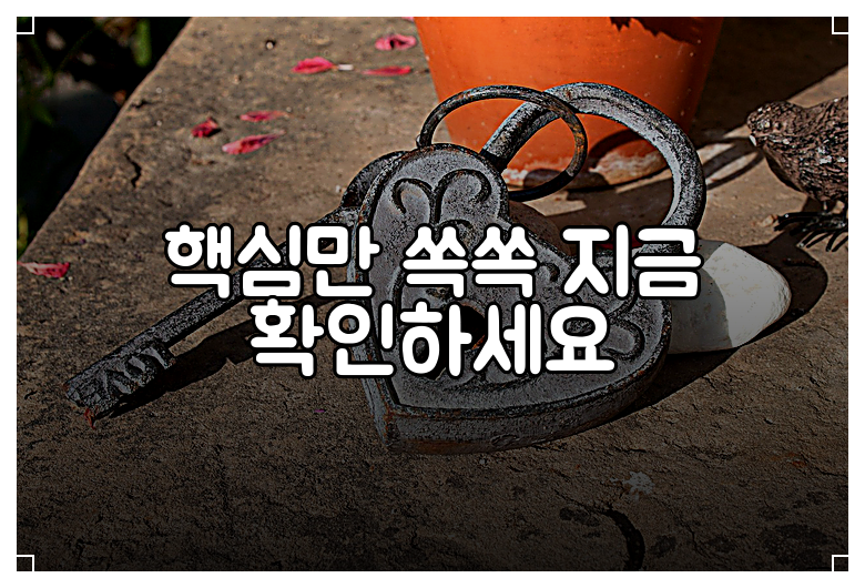 핵심만 쏙쏙 지금 확인하세요