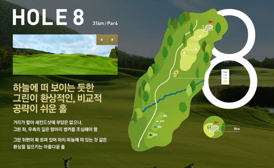 나인브릿지 CC의 코스 공략도 08