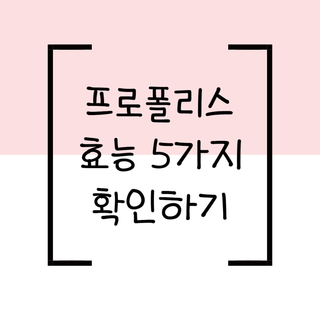 프로폴리스 효능