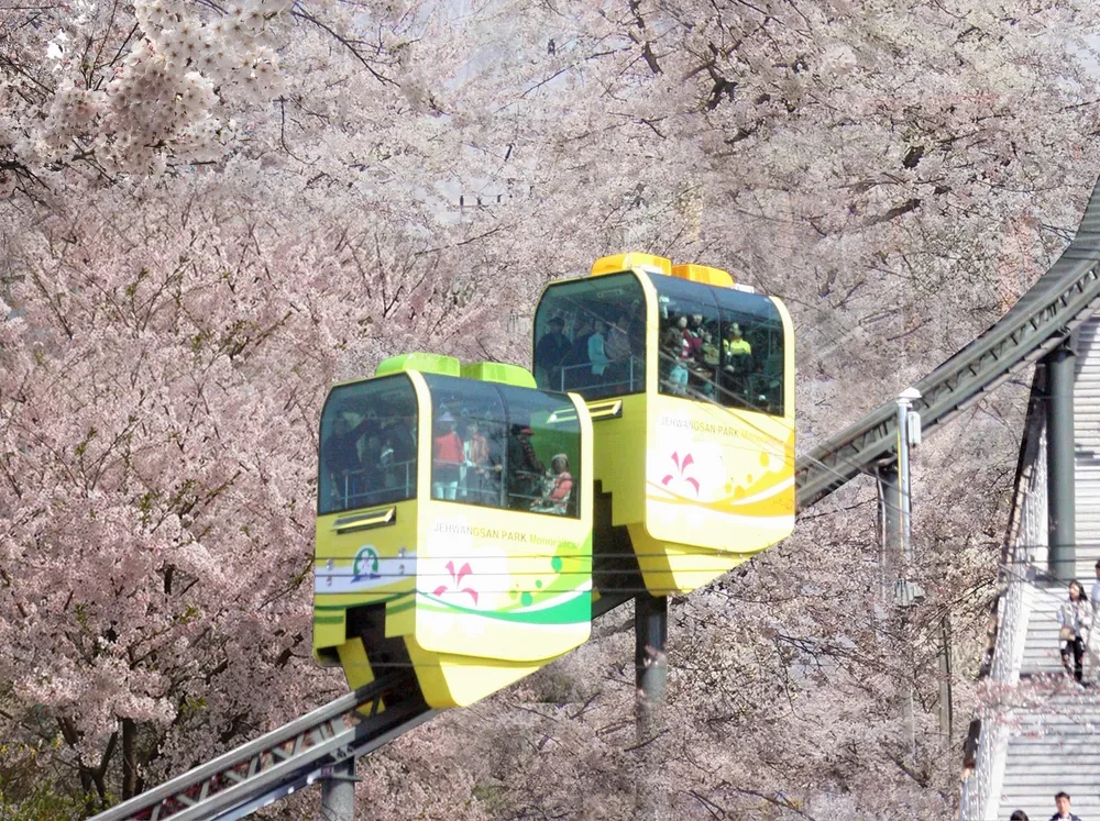 2025 진해군항제 일정&middot;주차&middot;벚꽃 명소 총정리!