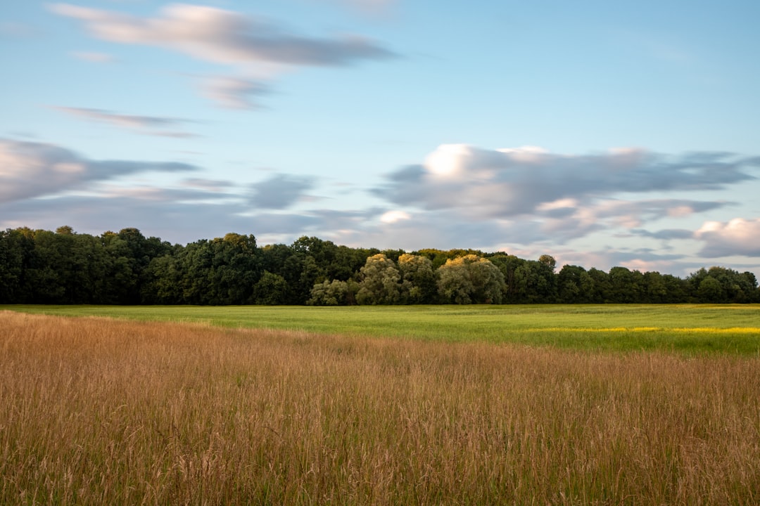 Farmland
