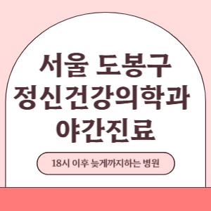 서울 도봉구 야간진료 정신건강의학과 병원 (18시 이후 늦게까지하는 병원)