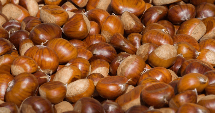 밤 효능으로 알아 봄 밤이 찍혀 있는 사진