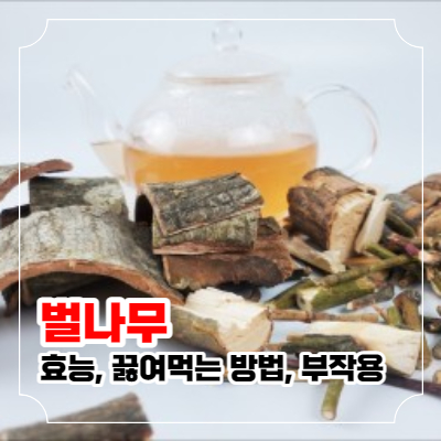벌나무 효능 13가지와 끓여먹는 방법과 벌나무 부작용