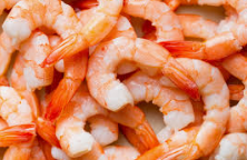 새우의 풍부한 단백질