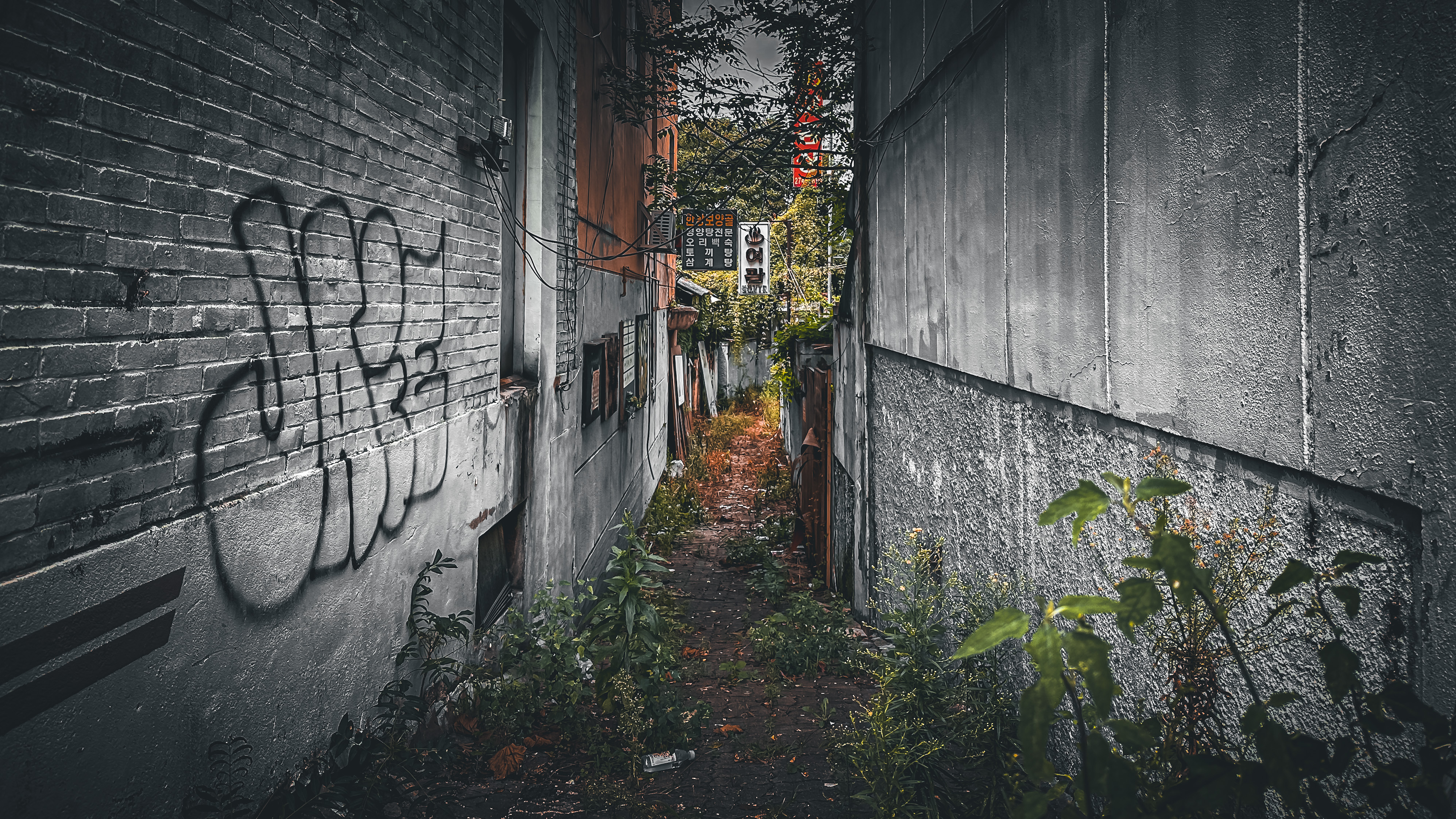 삥 좀 뜯길것 같은 골목...