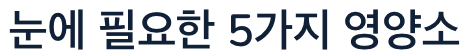 눈에 좋은 5가지 영양소
