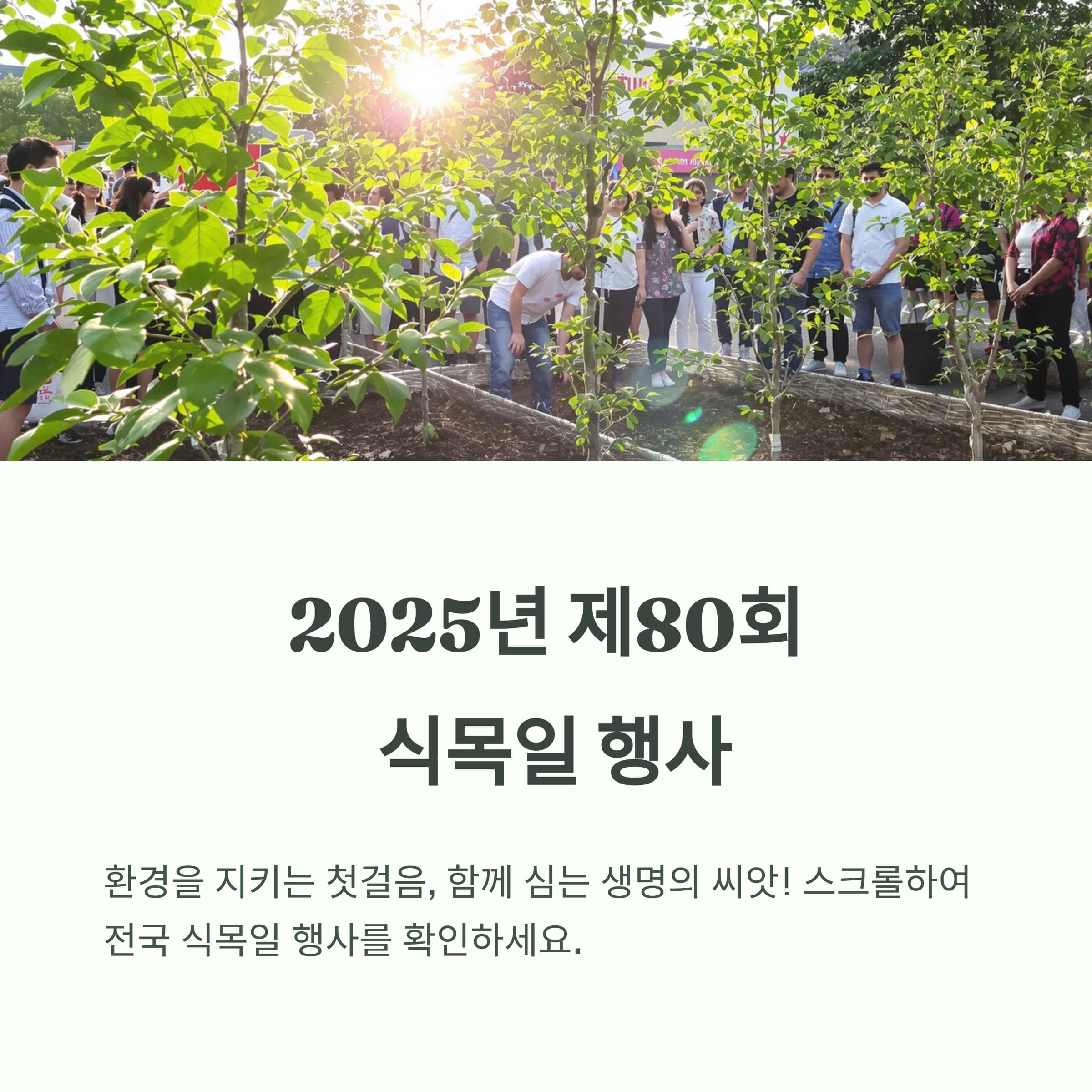 80회-식목일-행사