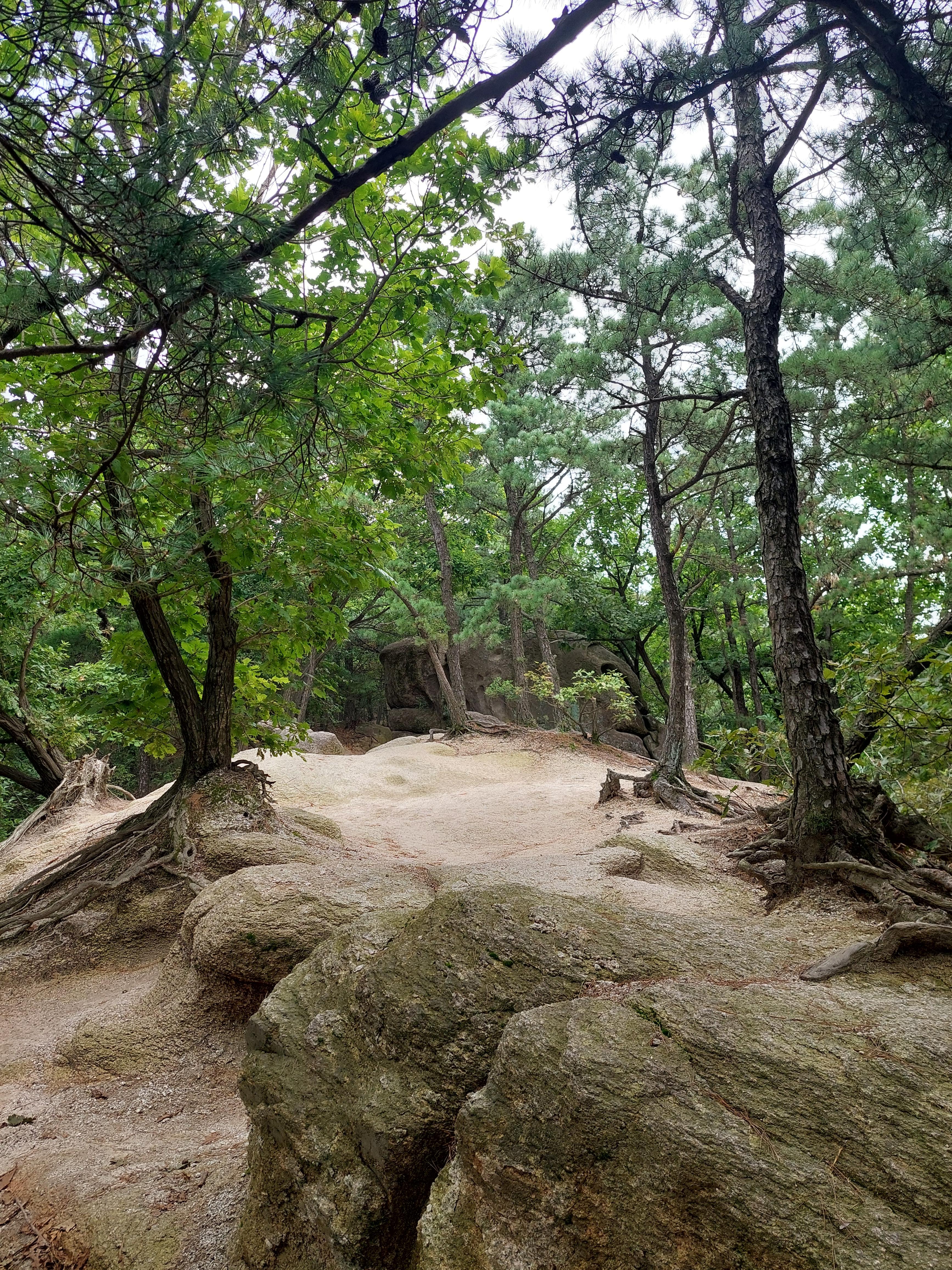 불암산