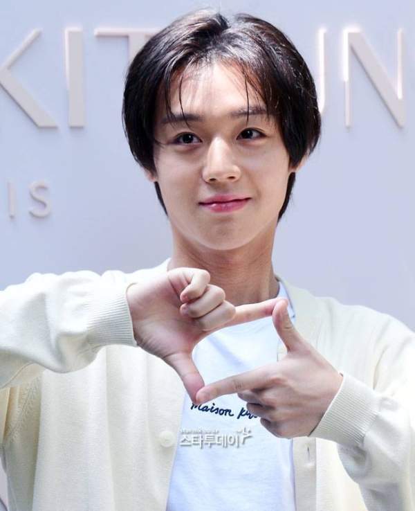 왕사남, 표절의혹