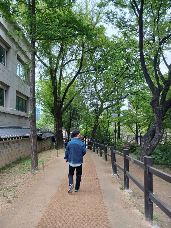 덕수궁 안길 걷다