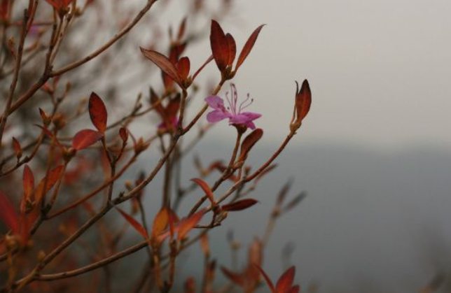 2025 경기도 단풍 명산 BEST ❘ 북한산&middot;남한산성&middot;광교산 등 추천 코스