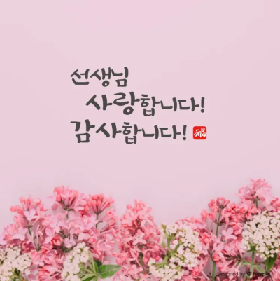 스승의날-분홍색-꽃-송이-감사-문구