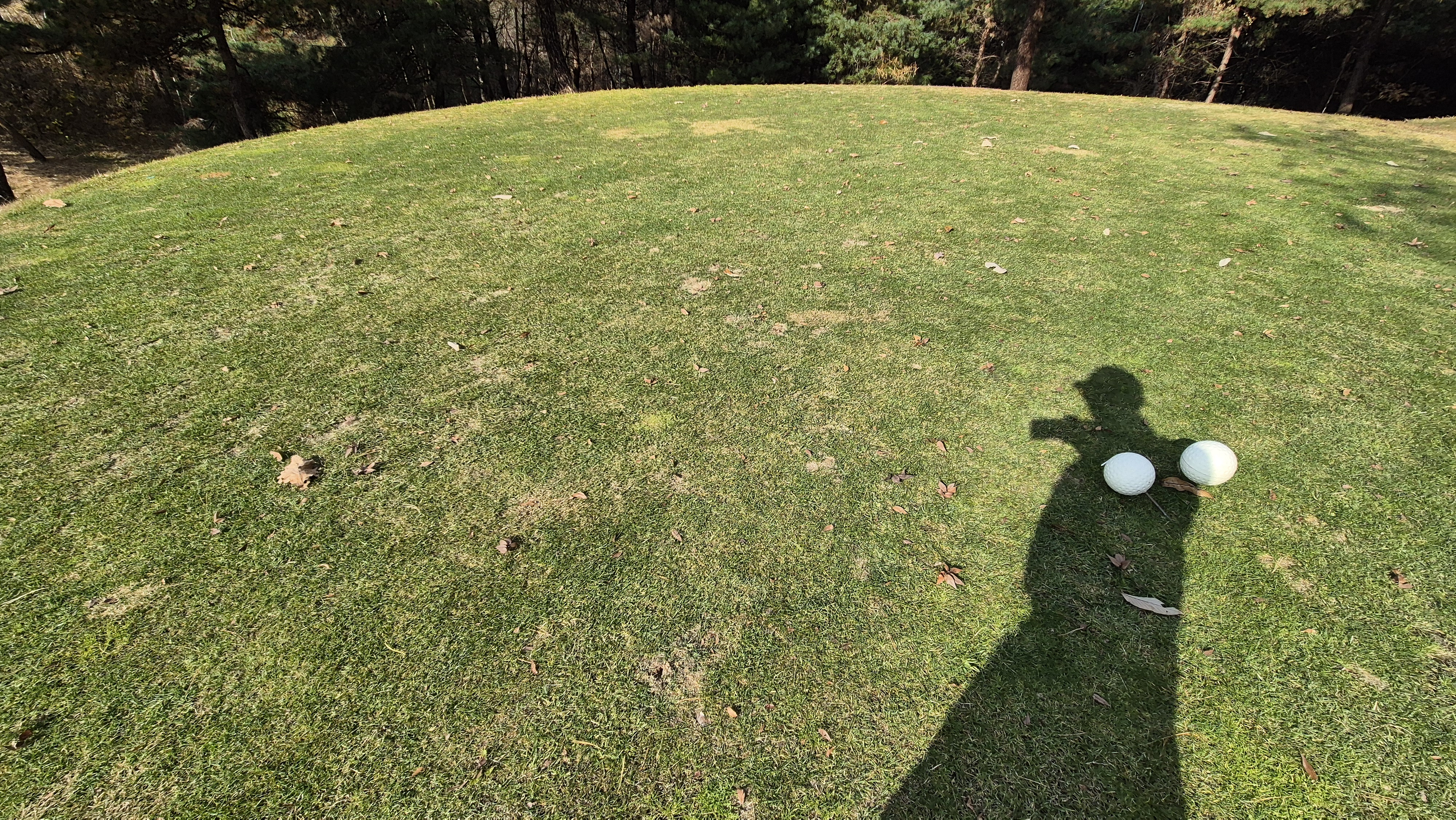 올데이 떼제베cc 가람-누리(서-남) 코스 티잉구역 상태