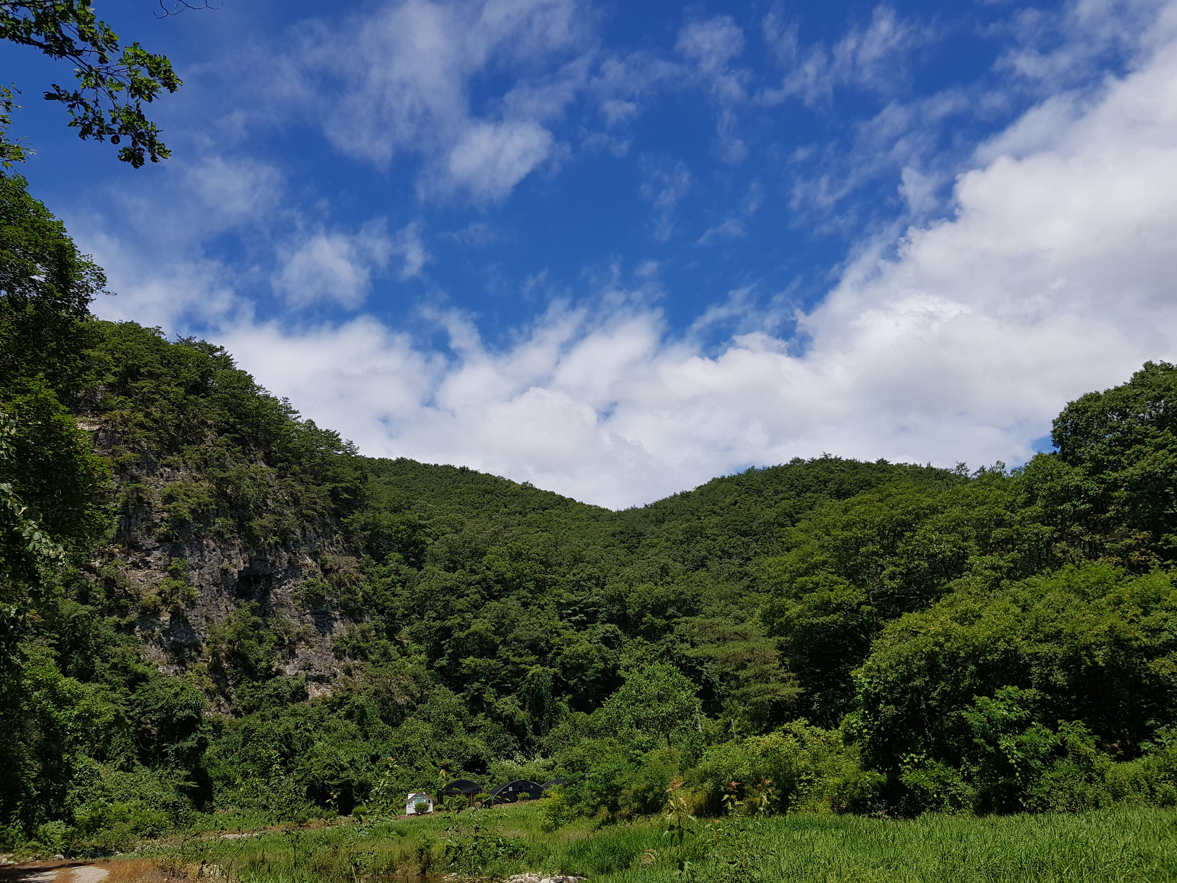2026년 토지 투자자라면 반드시 점검해야 할 보유 토지 관리 전략