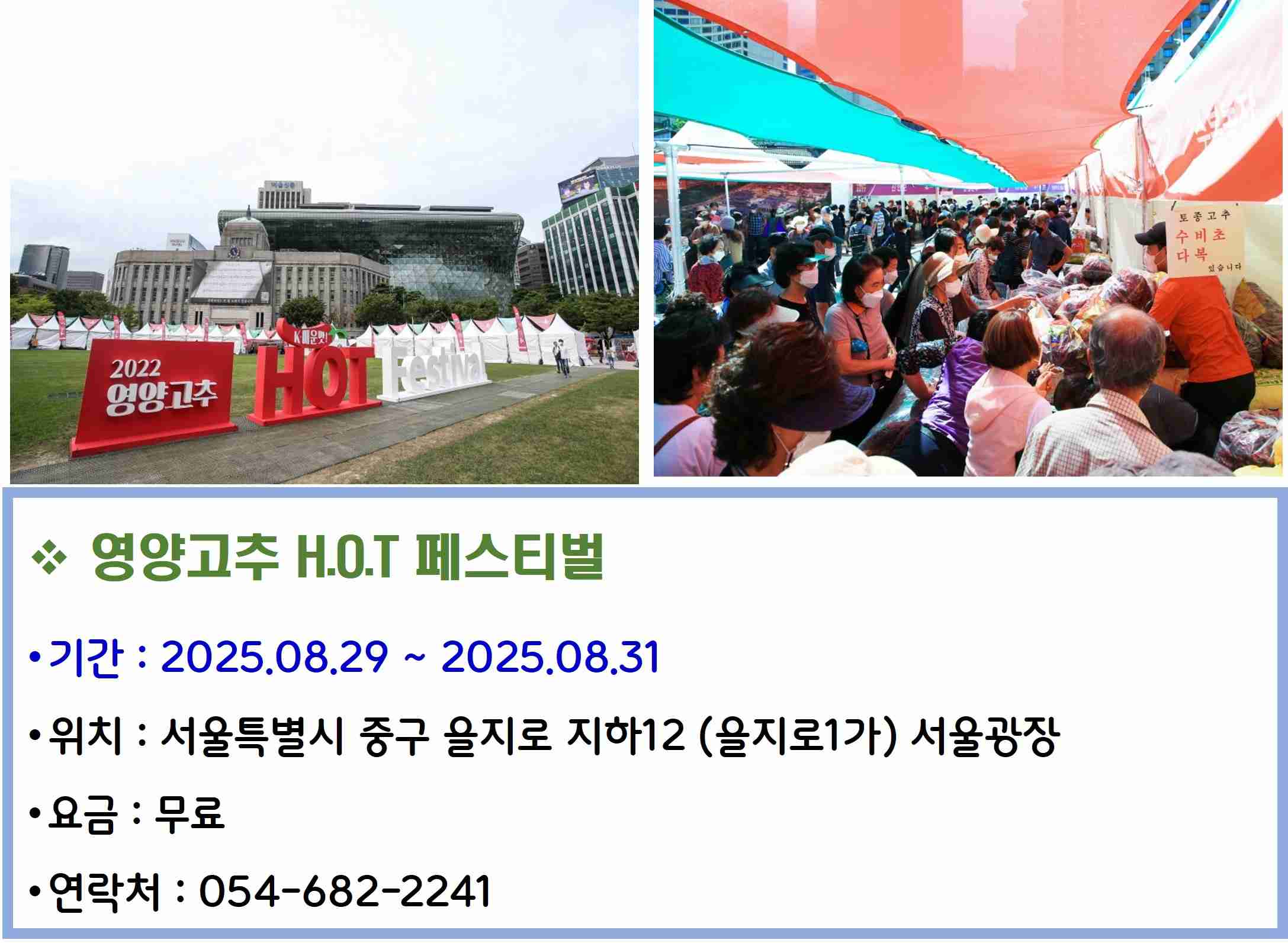 영양고추 H.O.T 페스티벌