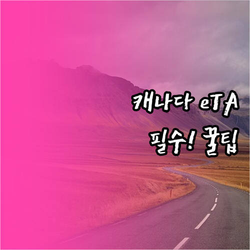 캐나다 항공편 입국 eTA 신청 준비..