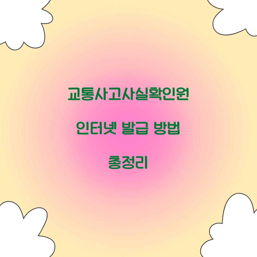교통사고사실확인원 인터넷 발급