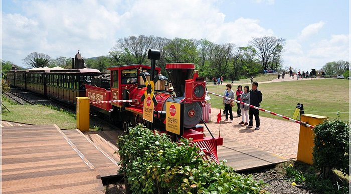 에코랜드 테마파크