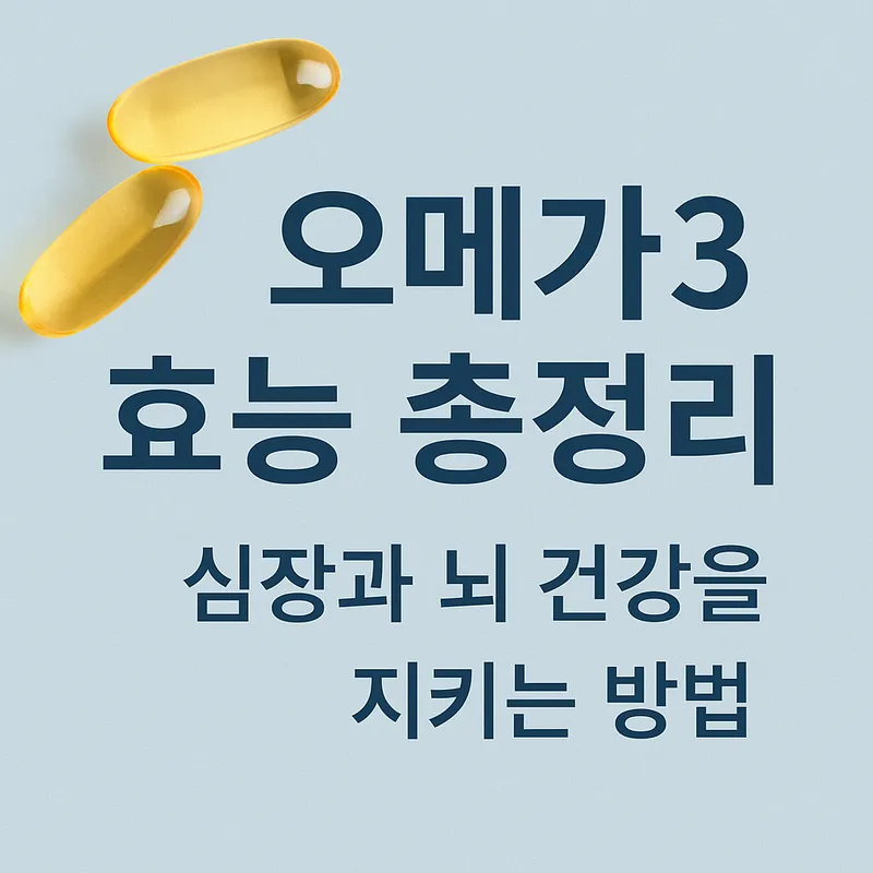 오메가3 효능 요약 대표이미지 - 심장과 뇌 건강 개선