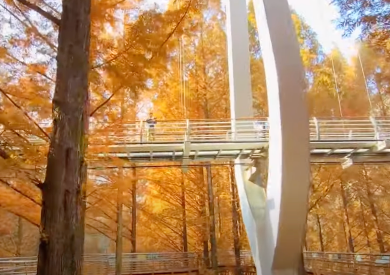 장태산-자연휴양림