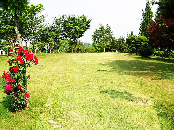 창원 대원파크골프장. 경남 창원시 성산구 두대로 46