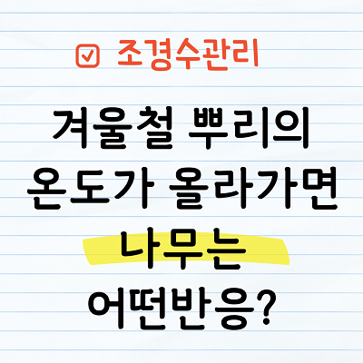 겨울철 뿌리의 온도가 올라가면?