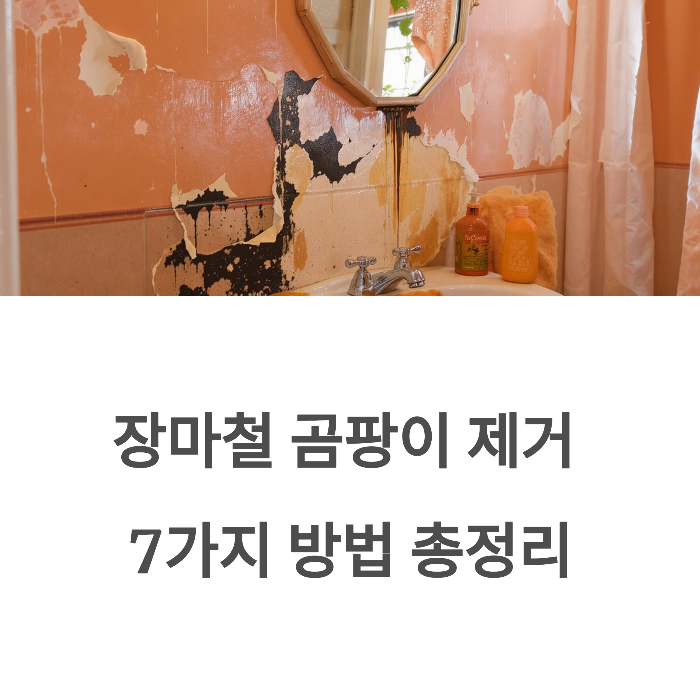장마철 곰팡이 제거 7가지 방법 정리