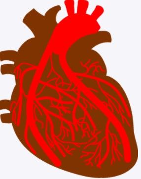 갑자기 혈압이 높아지는 이유