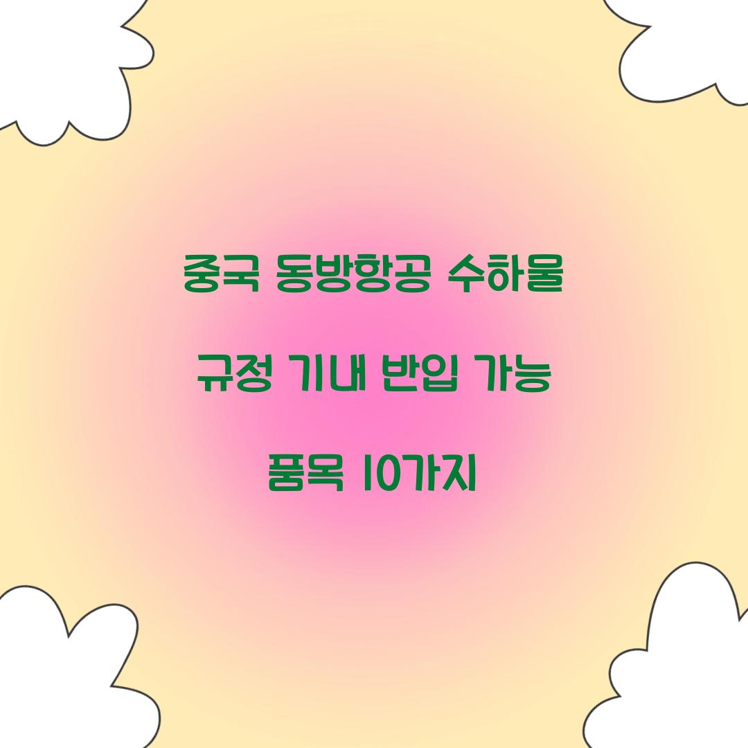중국 동방항공 수하물 규정 기내 반입 가능 품목 10가지 