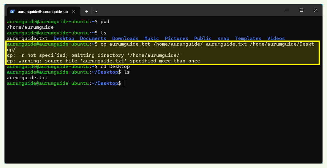 Ubuntu 기본 파일 복사 방법.