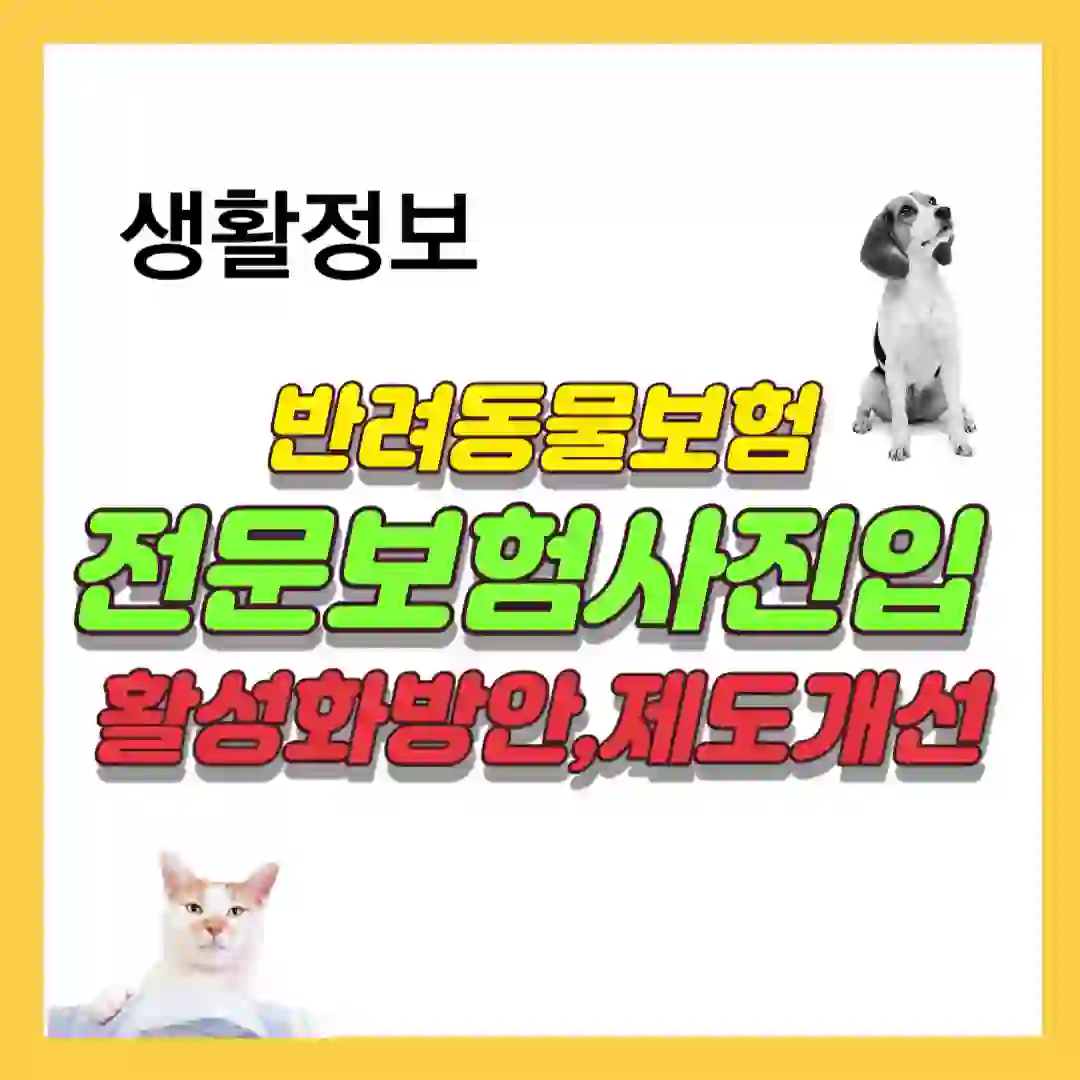 반려동물보험 활성화 방안 자료 모음 입니다.