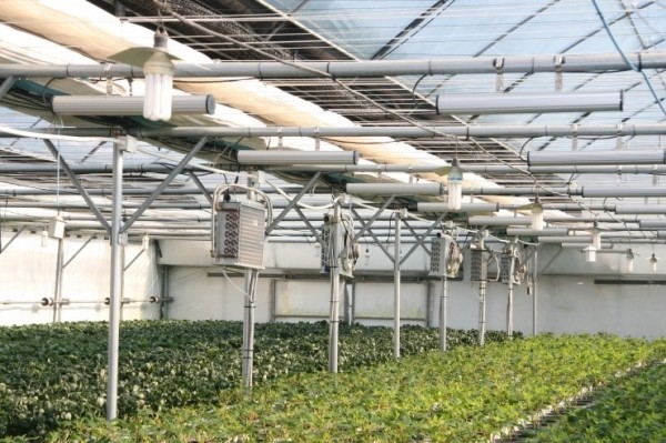 스마트 온실과 자동화 시스템을 활용한 도시 농업