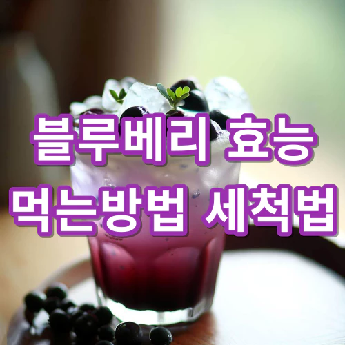 냉동-블루베리-효능-먹는-방법-세척법-건강