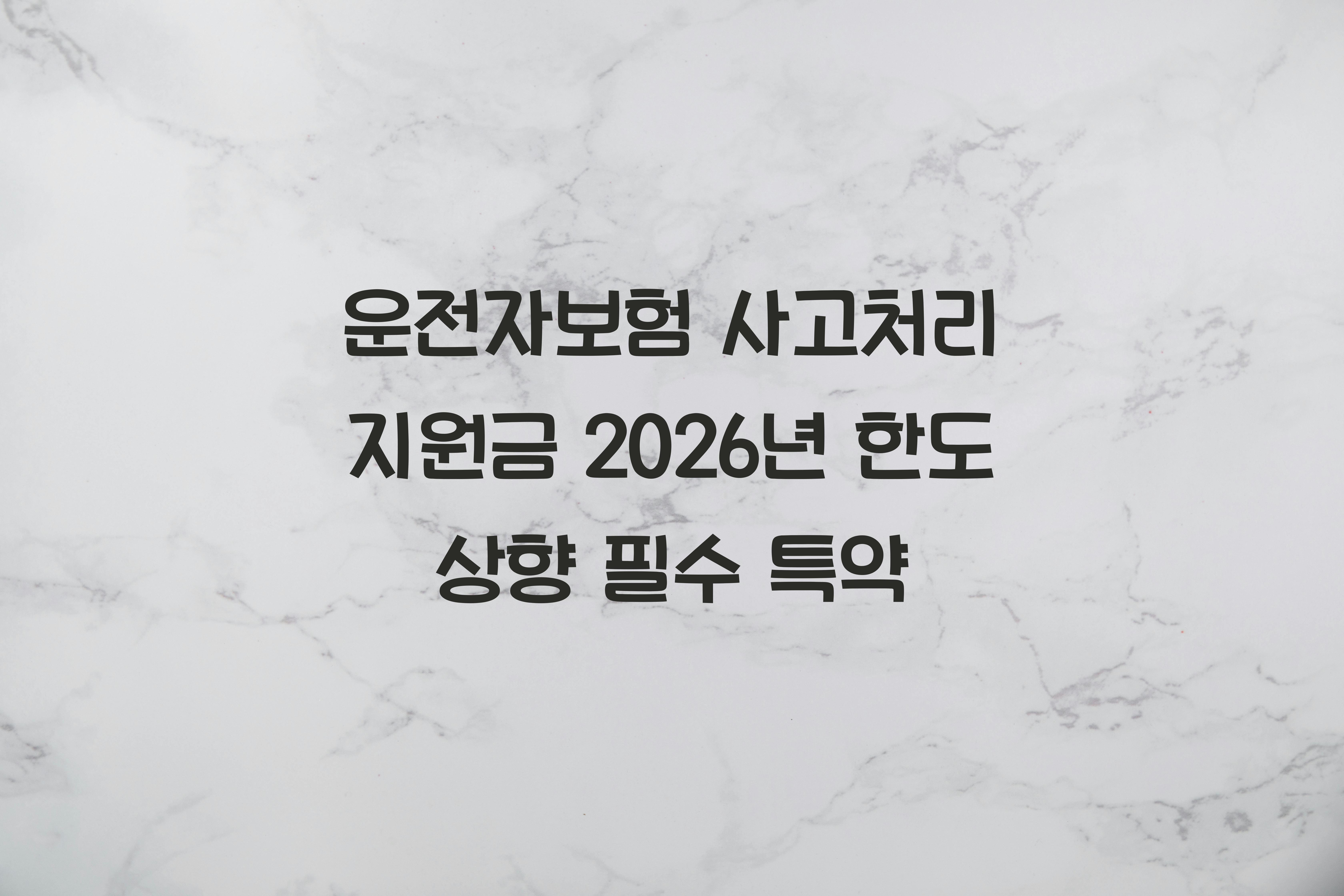 운전자보험 사고처리 지원금