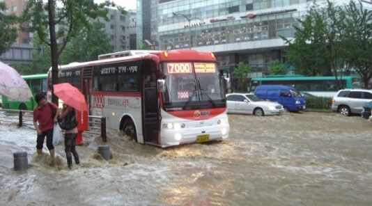 집중호우 재해지원금 신청