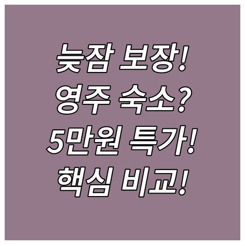 늦잠 보장 영주 숙소 최저가 5만원대..