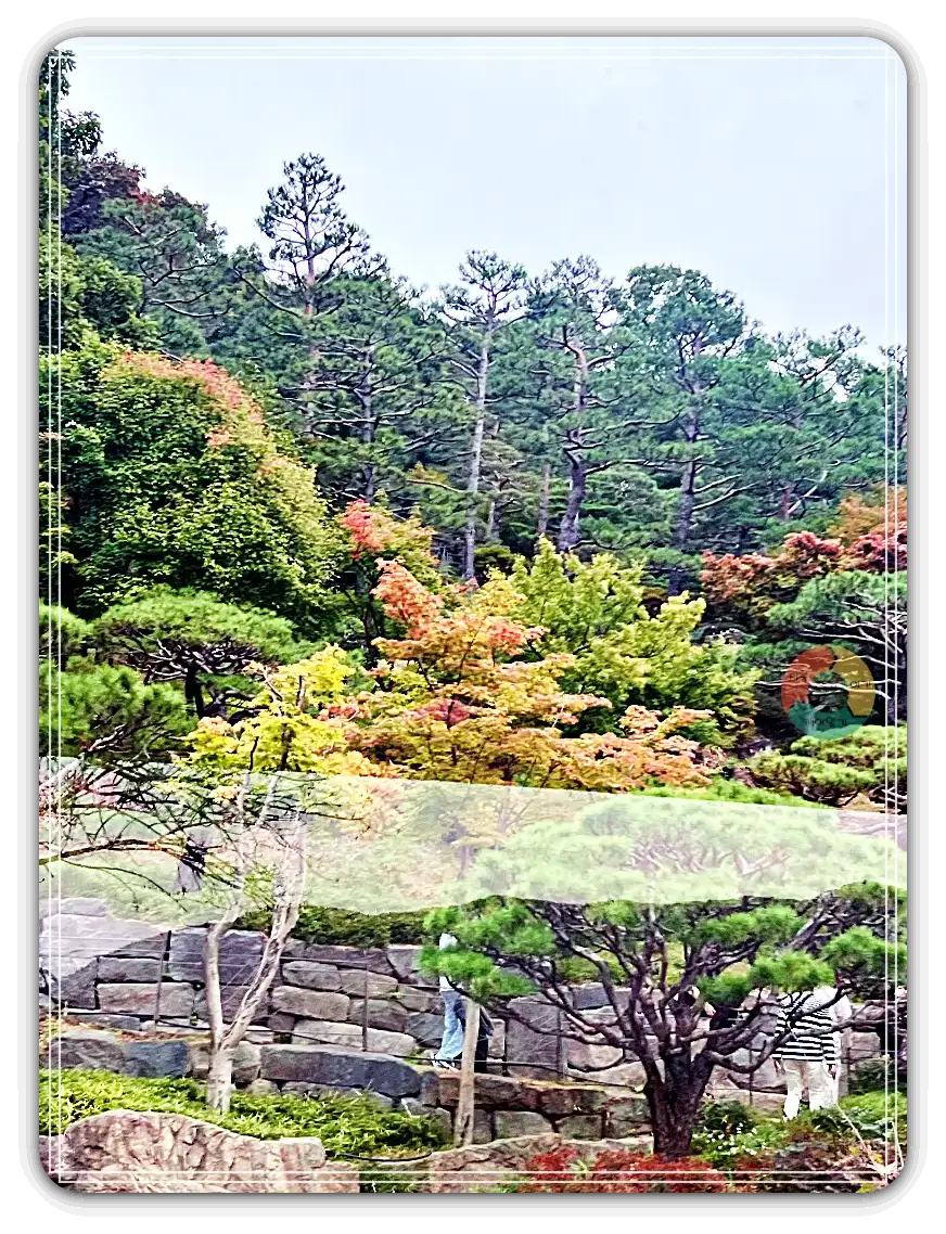 화담숲_모노레일안에서-소나무-단풍-돌담