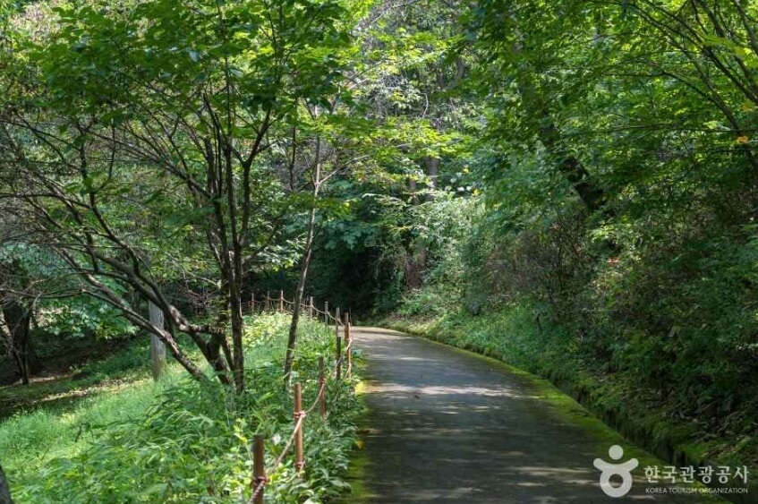 용인 가볼만한곳 베스트 10