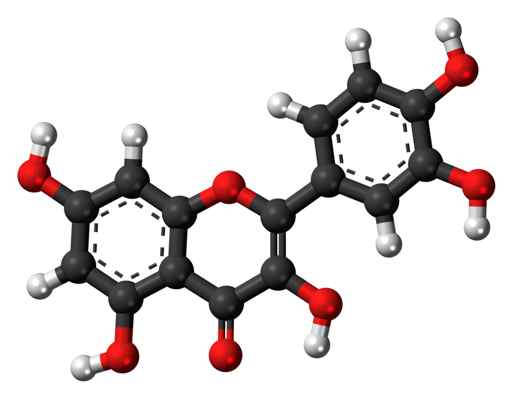 퀘르세틴(Quercetin)