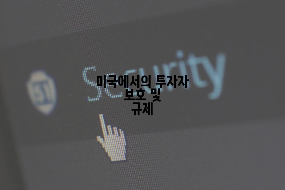 미국에서의 투자자 보호 및 규제