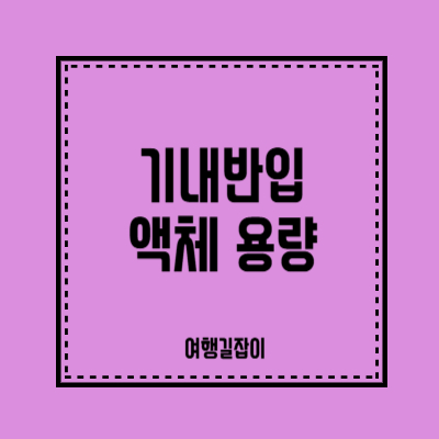 국제선, 국내선 기내반입 가능 액체 용량