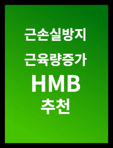 HMB추천-썸네일