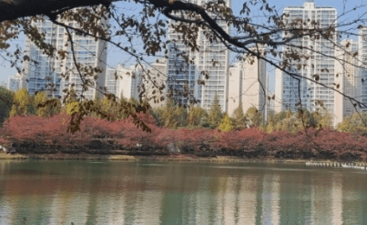 2023 단풍열차기차여행추천