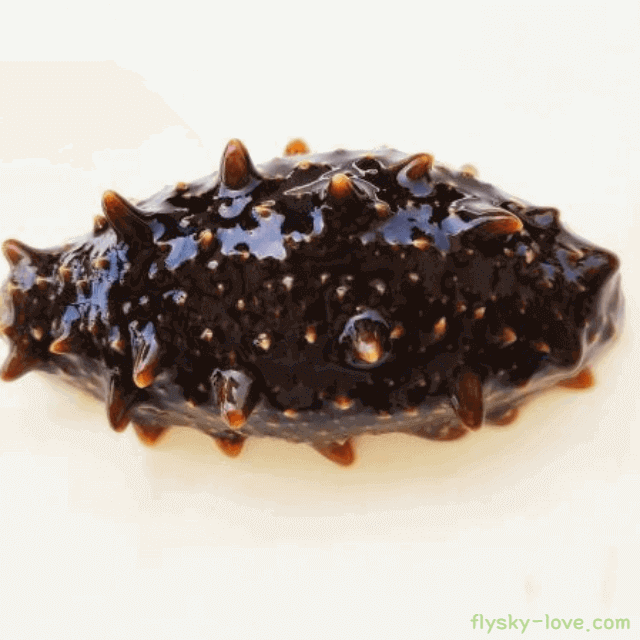 바다의 인삼 해삼 특징, 효능에 대해