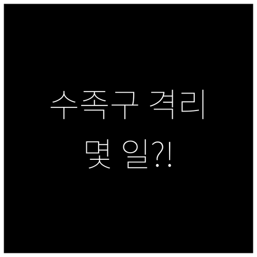 광진구 수족구 확진 시 격리 기간과 ..