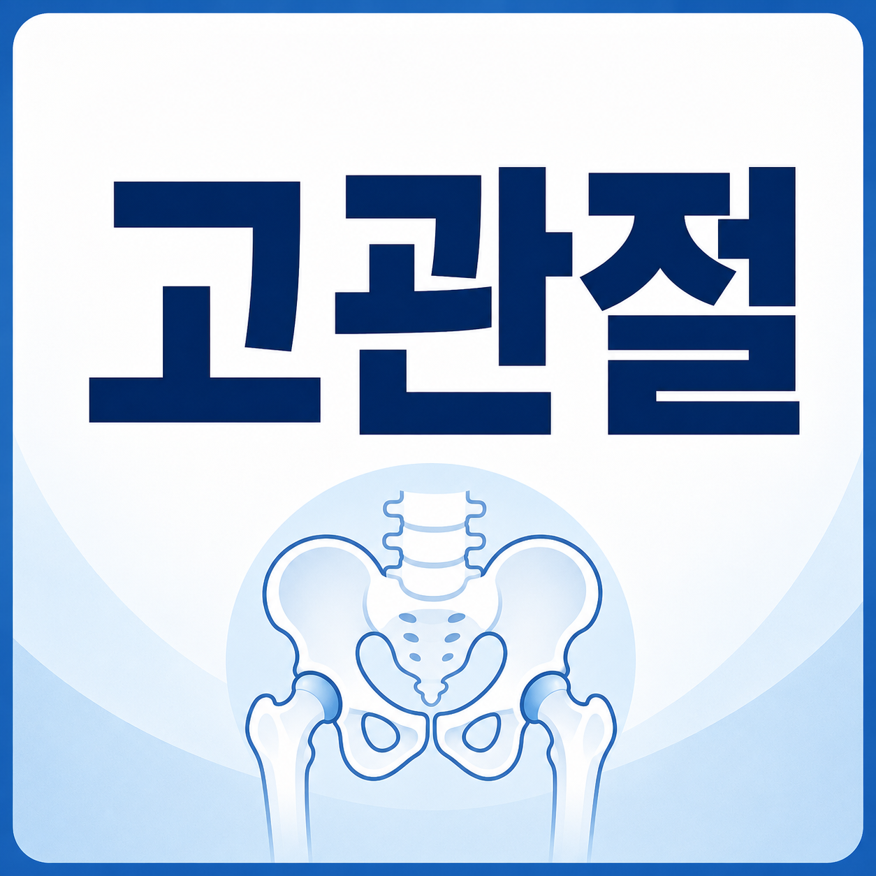고관절