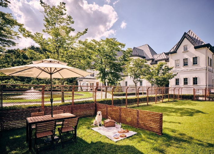 홍천-비발디파크-풍경-이미지